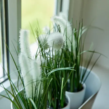 Alte Muehle شقة برنكاستيل كويس