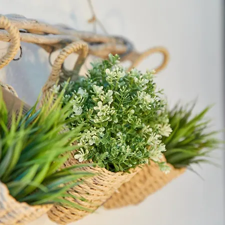 Alte Muehle Appartement