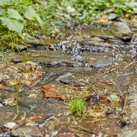 Appartement Alte Muehle *