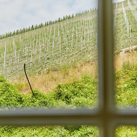 Appartement Alte Muehle Commune fusionnée de Bernkastel-Kues