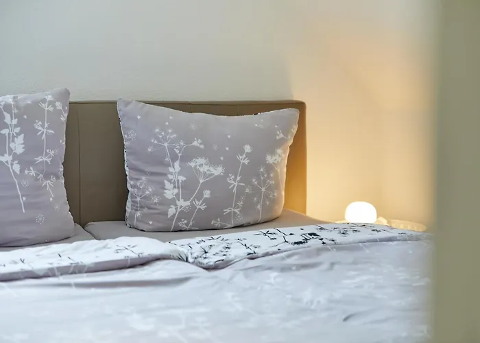 Apartmán Alte Muehle