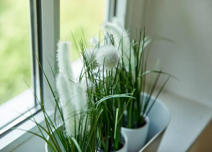 Alte Muehle Apartamento Bernkastel-Kues