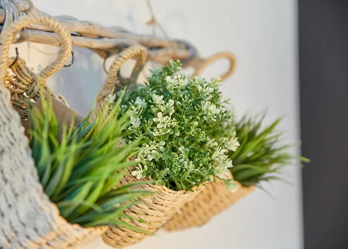 Alte Muehle Apartamento