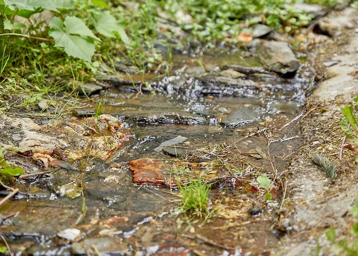 Apartmán Alte Muehle *