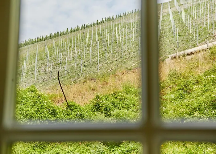 Apartamento Alte Muehle Bernkastel-Kues